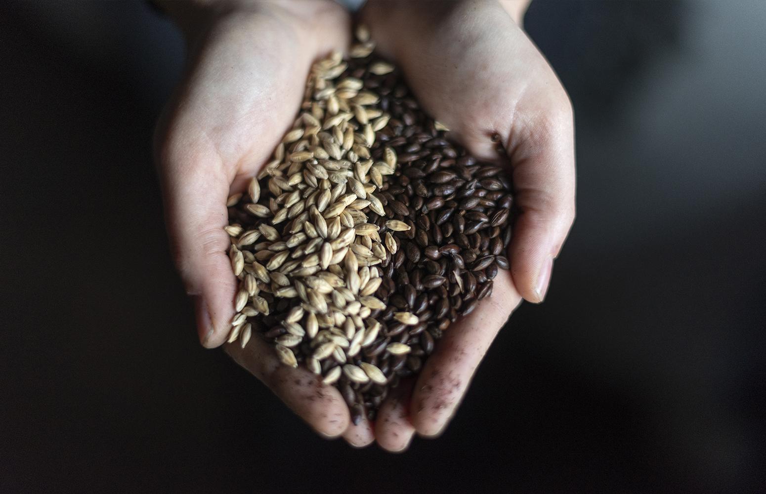 Imperial Stout Harvey's Brewery